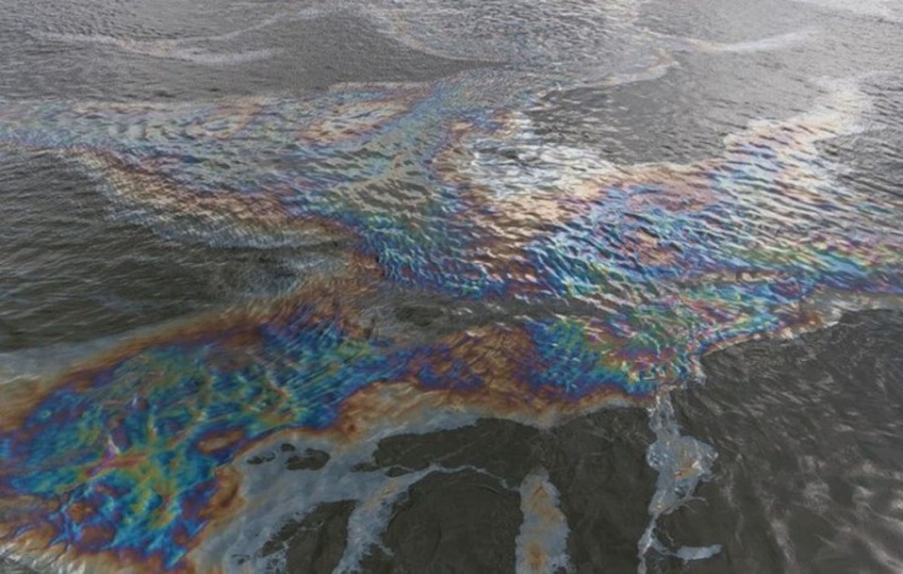 Новый материал успешно убрал нефть из морской воды