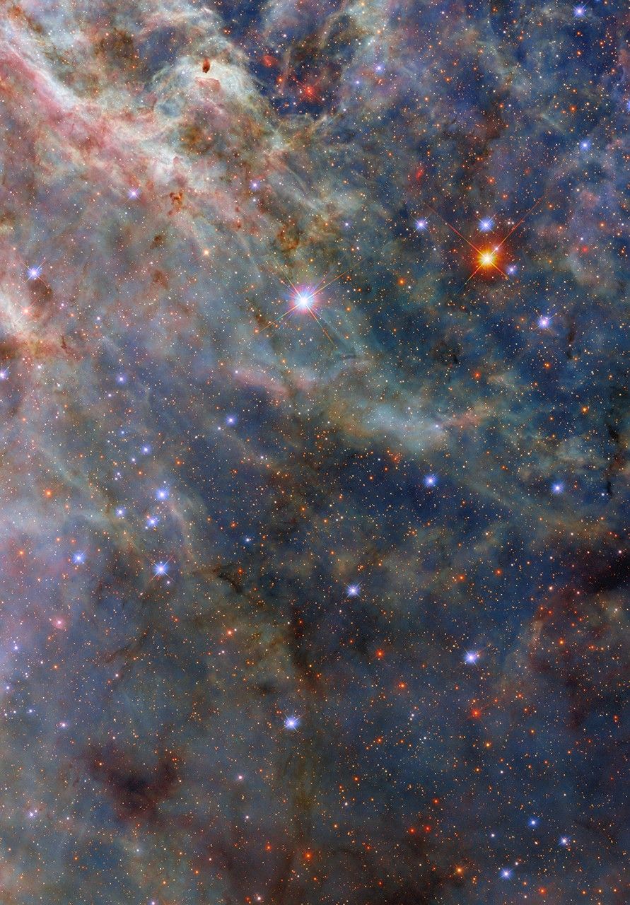Телескоп Хаббл зафіксував образ тарантула – наука NASA